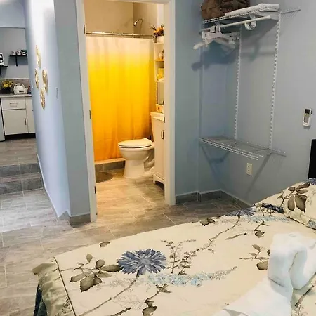 New Luxurious Studio Private In The Heart Of Miami Esterno foto